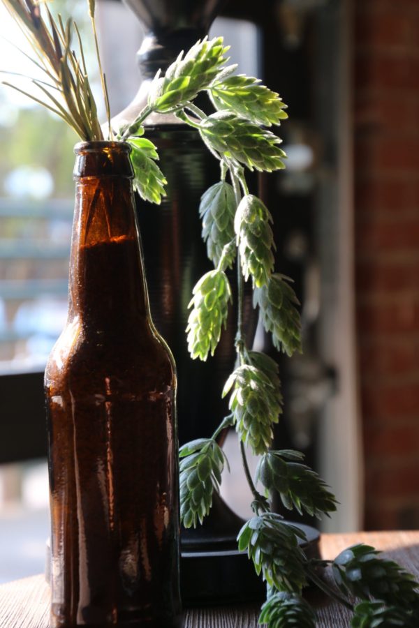 Beer bottle with hops